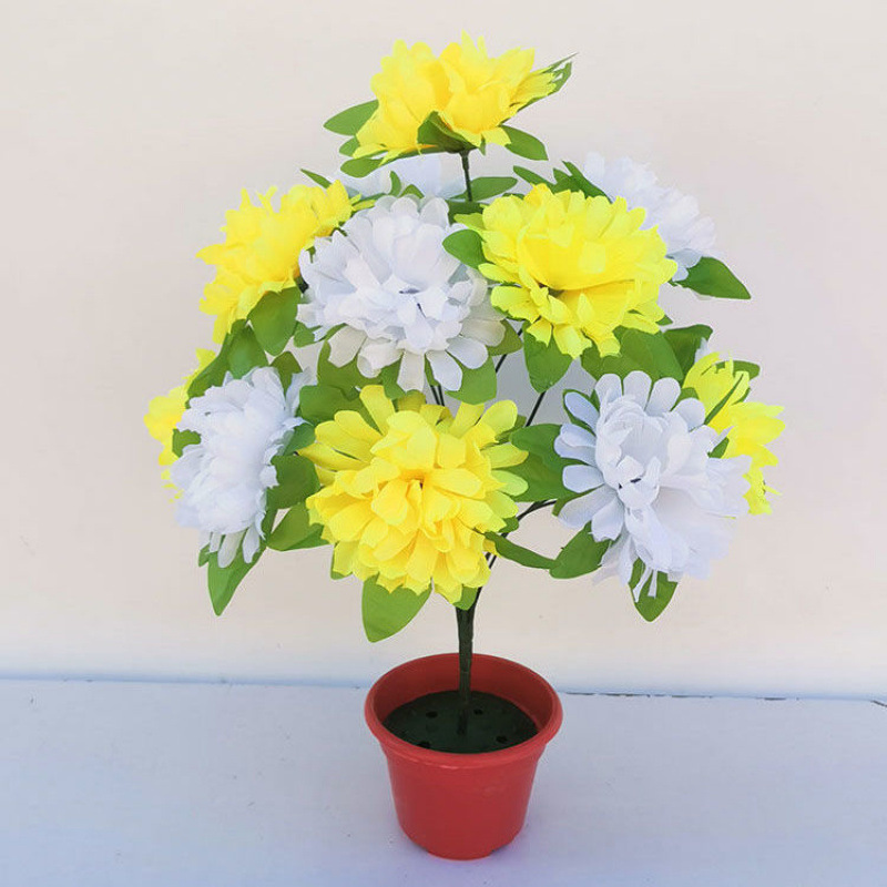 12 chrysanthemums with leaves (yellow and white) 1 branch - 1 branch + flowerpot quality choice