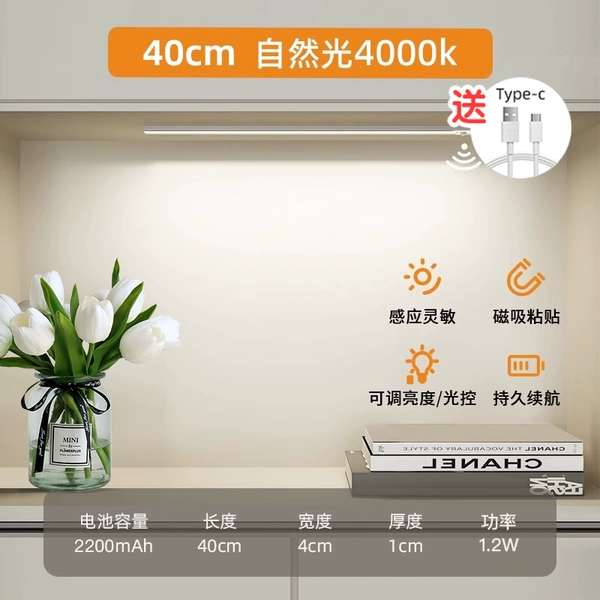 [High battery life] 40cm natural light + adjustable brightness + rechargeable and plug-in + human body sensing + always on