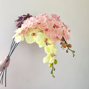 �ߙn��Ʒ�����ָ����ɫ �����m ��ˇ���߷��滨�bٻ��Ć�֦