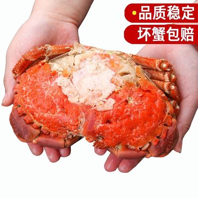 Crab Bread Fresh Crabs Crab fresh gold Seafood Treasure One piece On behalf of