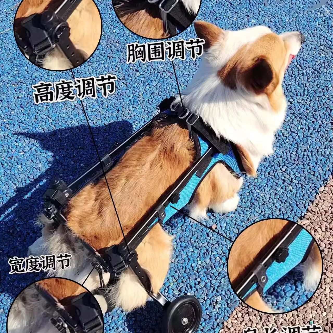 Silla de ruedas para perros, patineta para mascotas, patina trasera para perros discapacitados, gato auxiliar, soporte para perros pequeños y grandes, Teddy