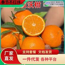 һ�����l091�o���ָ����ϱ������ԏV�����Q�ش����ӹ������Լ޽�