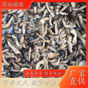 ��Ʒ����зζ�� ���I���aʳ�þ� �I�B�S������Ҝ����� Ʒ�ƃ��x