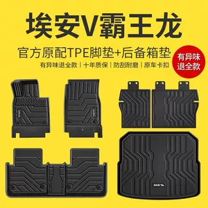 Applicable to GAC EAN V Tyrannosaurus Rex Foot Mat Enclosing 24 EAN TPE Car Foot Mat Enclosing Foot Mat Original Factory