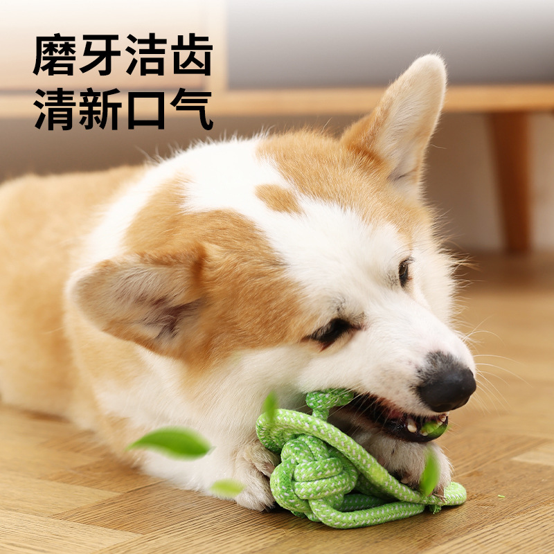 Juguete para perros Nudo de cuerda Juguete de tira y afloja Tira interactiva Cuerda de mordida Molde de lana para perros grandes y medianos Cuerda resistente a mordeduras Nudo