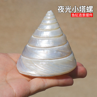 ��Ȼ����ؐ��ҹ��С�������������~���쾰ˮ���b˱��[���Ʒ