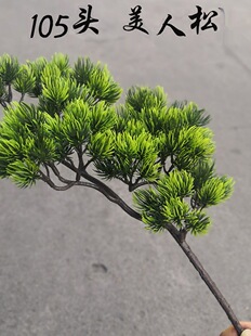 �_�h�������ɼ��~����ɘ��~������֦ģ���ɘ�֦�b��~����֦