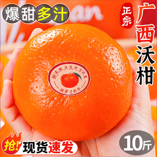 ����ָ��������r����ˮ����������ժɳ������ɰ�Ǵ��