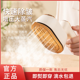 Handheld Steam Garment Ironing Machine Household Small Electric Iron Ironing Clothes Portable Iron