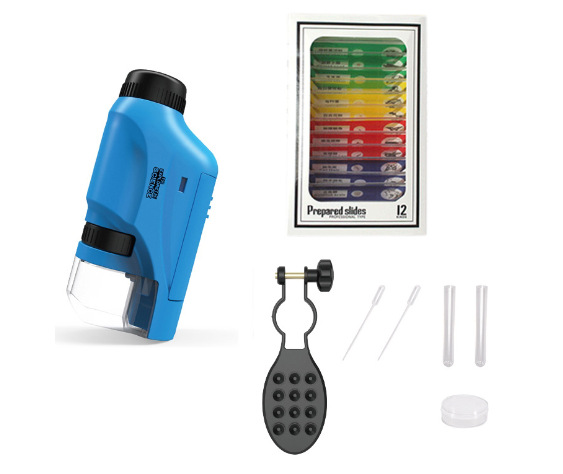 (영어) * 블루 6 조각 컬러 표본 홀더