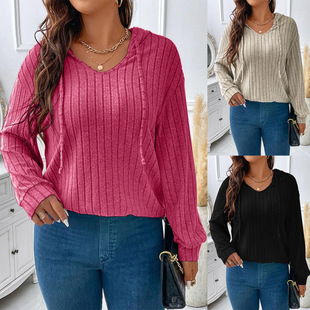 2025 Amazon Autumn and Winter New Pure Color Plus Size Women's Tops V Neck Hooded Long-Sleeved Pit Brushed T-Shirt Loose