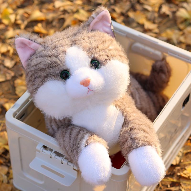 Reprehenderit qui in ea