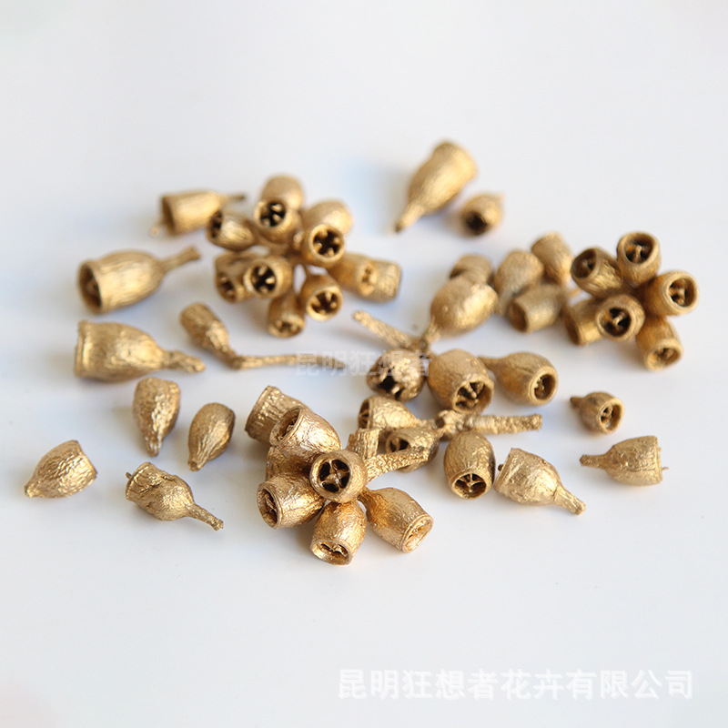 Zombie Fruit Gold (một túi 20g khoảng 7 nhánh)