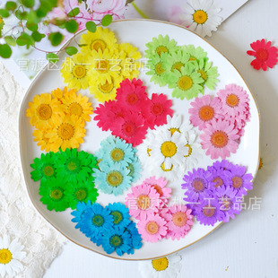 Crystal chrysanthemum flower white crystal chrysanthemum embossed handmade material flower flower painting glue drop resin plant specimen aromatherapy real flower wholesale