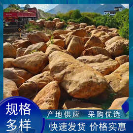 天然黄蜡石批发鱼池假山石公园绿地草坪摆件石户外庭院园林天然石