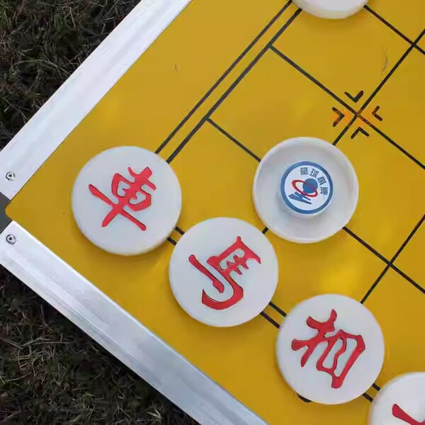 Chinese magnetic big chess