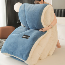 羊羔绒被子2025新款冬季棉被秋冬被加厚保暖10斤冬天宿舍单人被芯