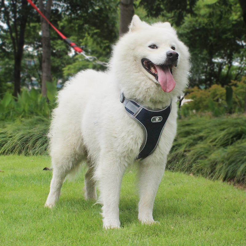 Nouveau Harnais De Poitrine De Grand Chien Réfléchissant De Type Gilet Respirant En Maille display picture 5