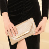 goods in stock 2022 new pattern Cross border Europe and America Aluminum Rhinestone envelope Evening Bags banquet Metal Hand Evening bag