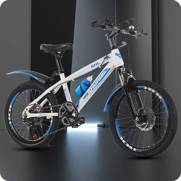 Shock-absorbing bike shifter (brake handle) disc brake, deluxe edition