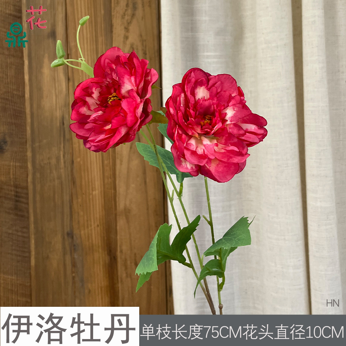일로 모란 HN 로즈 레드