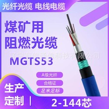 MGTSV53-6B1����ģú�V�����z�bͨ����ȼ�������|MGTS53-6B1