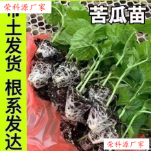 �����߮a����G����玧����������ϷN�Ӵ����߲���׉�����