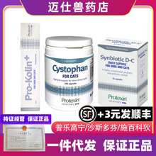 ʩٿƵ ɳ˾ ɳ˹ ՘ߌ ɳ˹ౣɳ˹՘