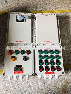 Dust Explosion-proof lighting power distribution box BXMD51-4