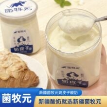 菌牧元奶皮子酸奶新疆奶皮子酸奶618g*2罐伊犁酸奶【顺丰空运】