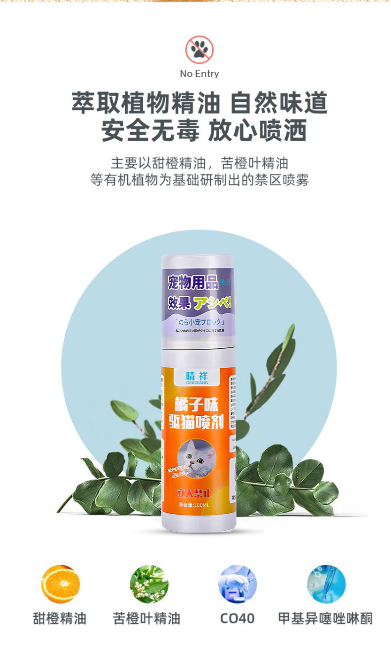 t8816654680962956745140136797.