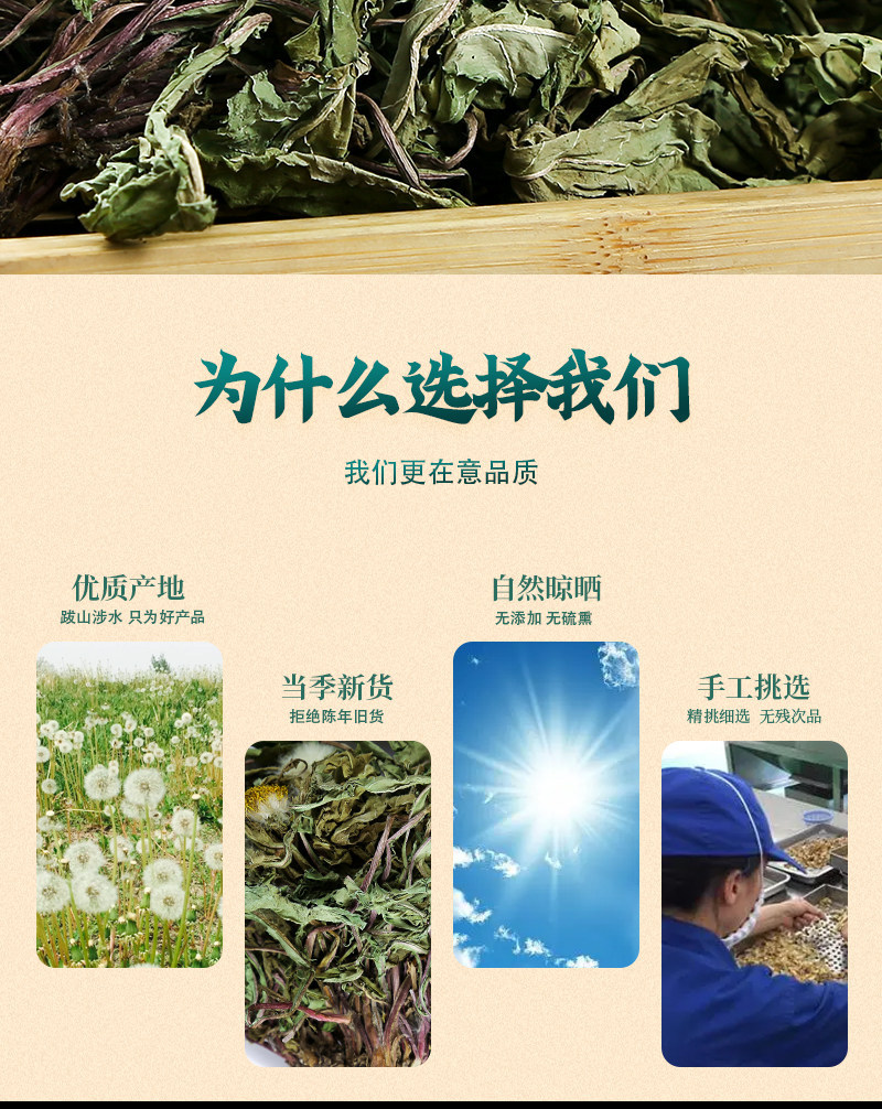 Wild Dandelion Tea Pu Gong Ying 500g 250g 100g Dried Whole Plant Cut Herbal Tea quality and texture