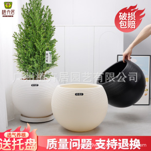 Cross-border Foreign Trade Nordic-style Spherical Plastic Flower Pot Light Luxury High-level Living Room Green Pine Bird of Paradise Green Plant Flower Pot
