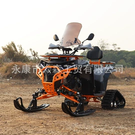 沙滩车;其他摩托车;其他电动车