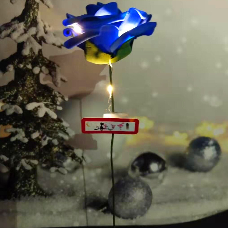 蓝玫瑰+暖灯