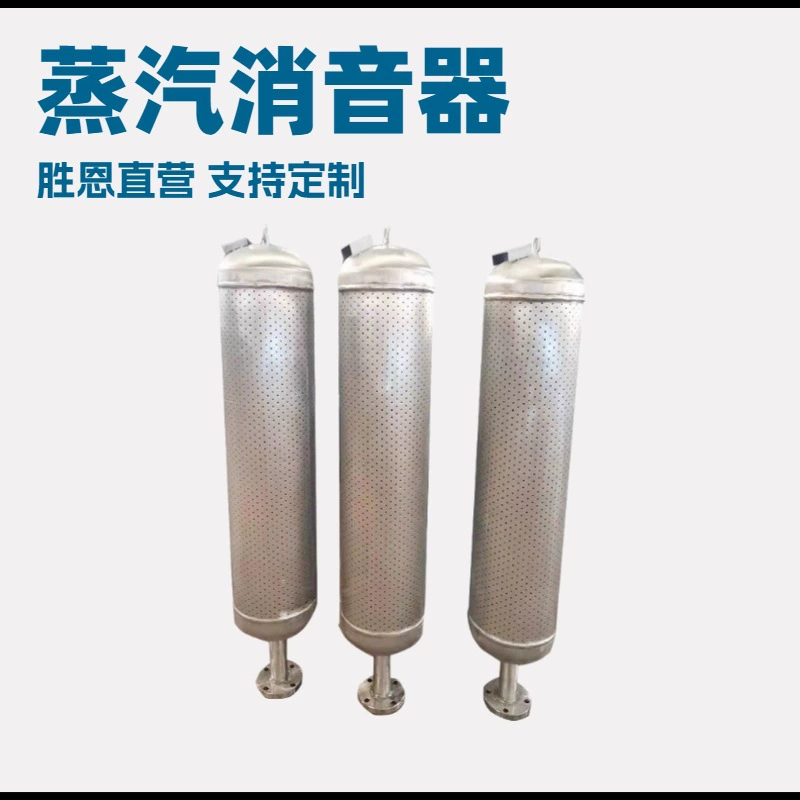 Выхлопной глушитель предохранительного клапана Котловый предохранительный клапан выхлопной глушитель типа ТБ шумопоглощение 40 дБ Прямые продажи с завода