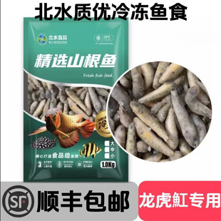 Frozen Fish Food for Ornamental Fish Such as Arowana, Guppy, and Koi, Including Shrimp Segments and Live Fish