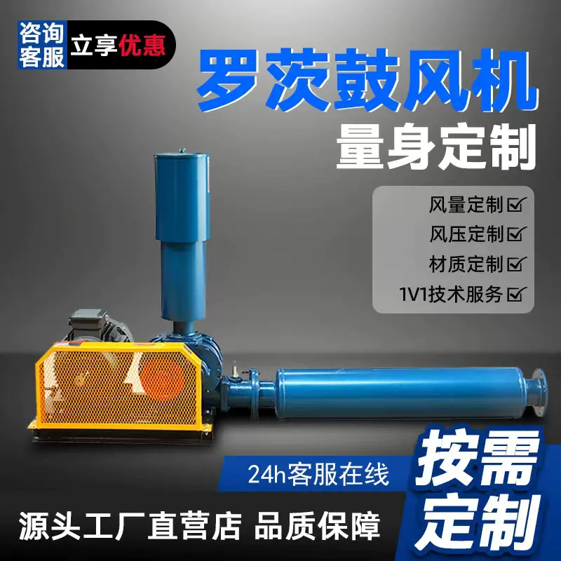 罗茨风机源头工厂定制气料输送生活化工污水处理多工况罗茨鼓风机