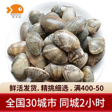 ���͝O�����r�� �r��� ���� �r��rСؐ� ����ʳ�� �r�