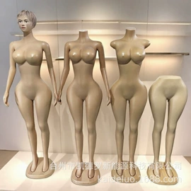 模特;服装陈列架;饰品展示架