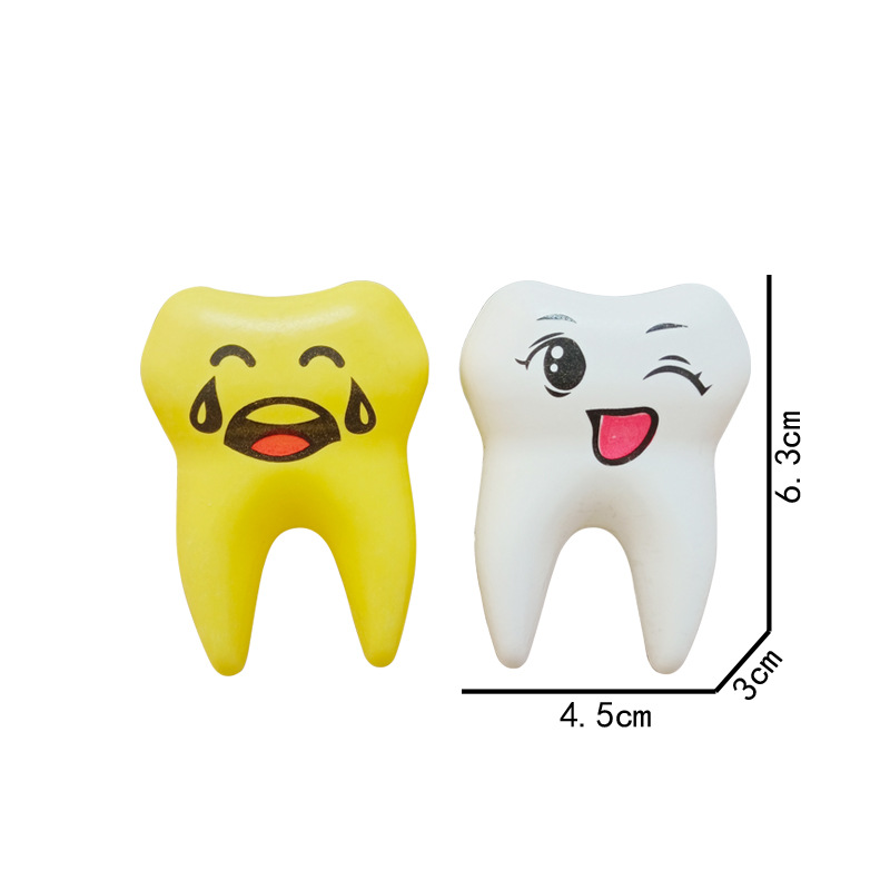 Children's simulation dental dental medical tools toothbrush toothpaste play house toys kindergarten science and education dental model wholesale