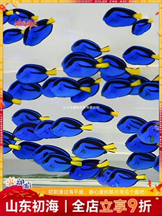 ����Ī�û��Ѷ����{����ˮ�^�p�~�{����������������_�����w��