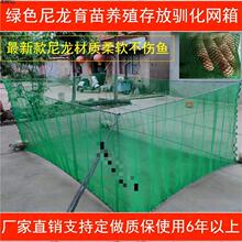 绿色尼龙无结网箱鱼苗育苗夏花养殖驯化存放不伤鱼鳜鱼网箱