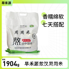 ����Դ�������s�Z��28�����Z���h��Դ�^���S���l�A���s��ͬ�r��