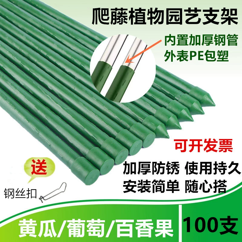 Подставка для восхождения на виноградную лозу Подставка для растений для восхождения на ротанговые стержни пластиковая стальная труба для огурца фасоль виноградная стойка для маракуйи балкона для садоводства