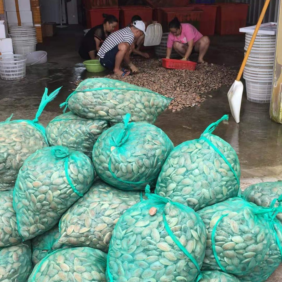 2025-08-19 11:44:22.jpg