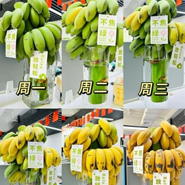 速冻中式面点;传统糕点;方便粥类