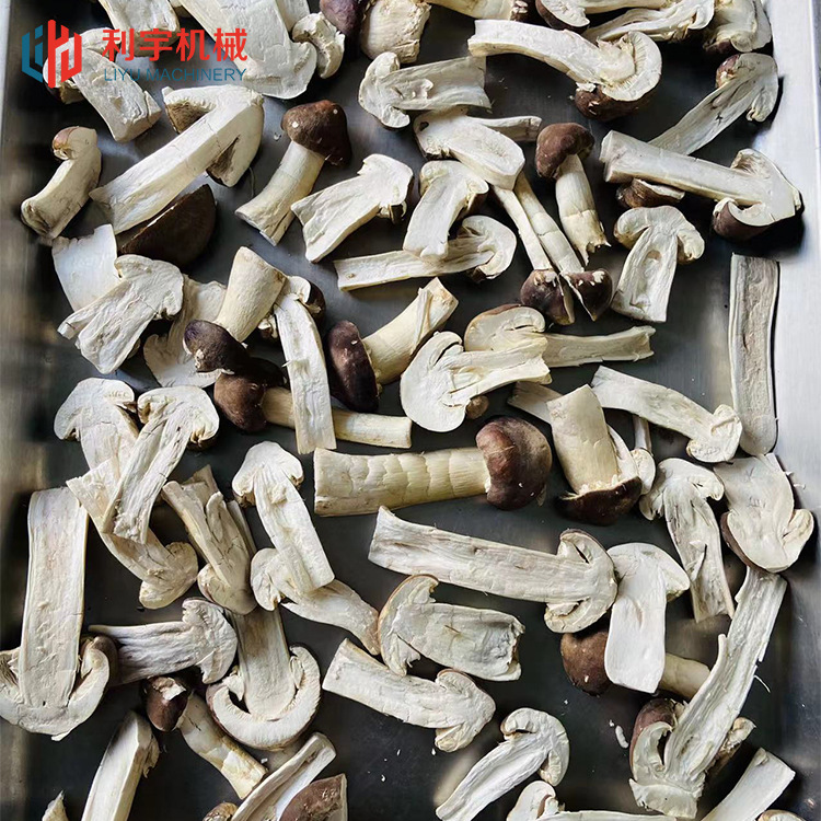 宠物零食冻干设备 新鲜蔬菜水果真空冻干机  榴莲真空冻干机