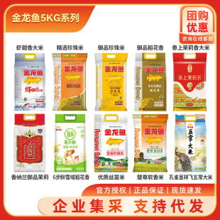 �����~����5kg �|�����׾��׶i��������ô���b10���b����