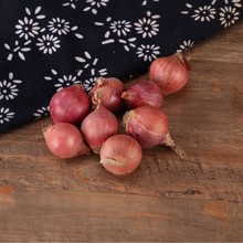 厂家直销毛葱圆葱 3-5cm甜脆香珠葱新鲜毛葱圆葱